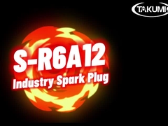 एस-R6A12