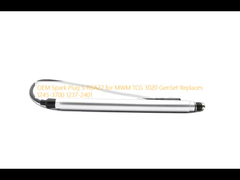 MWM TCG 3020 जेनसेट के लिए OEM स्पार्क प्लग S-R6A22, 1245-3700 1237-2401 को बदलता है