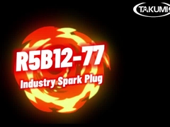 R5B12-77