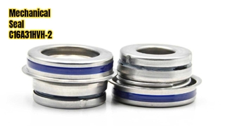 यांत्रिक सील C16A31HVH-2