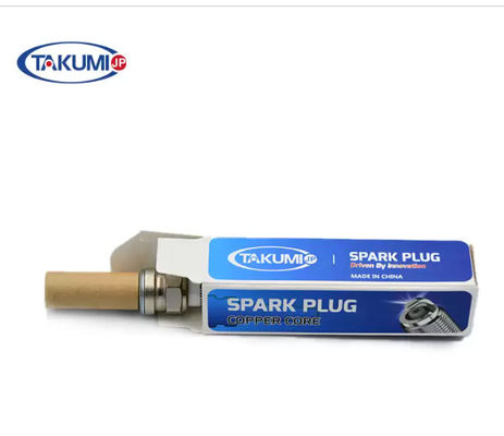 S-R6A19 Prechamber औद्योगिक स्पार्क प्लग 12453566 12344841 MWM TCG 3016 के लिए